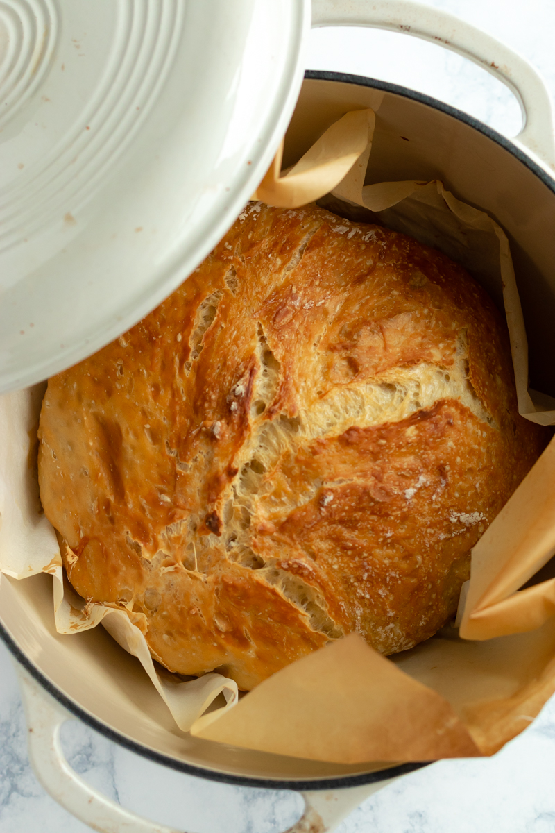 https://mariasmunchies.com/wp-content/uploads/2022/01/dutch-oven-no-knead-bread.jpg