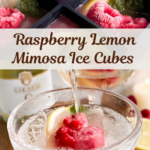 Raspberry Lemon Mimosa Ice Cubes